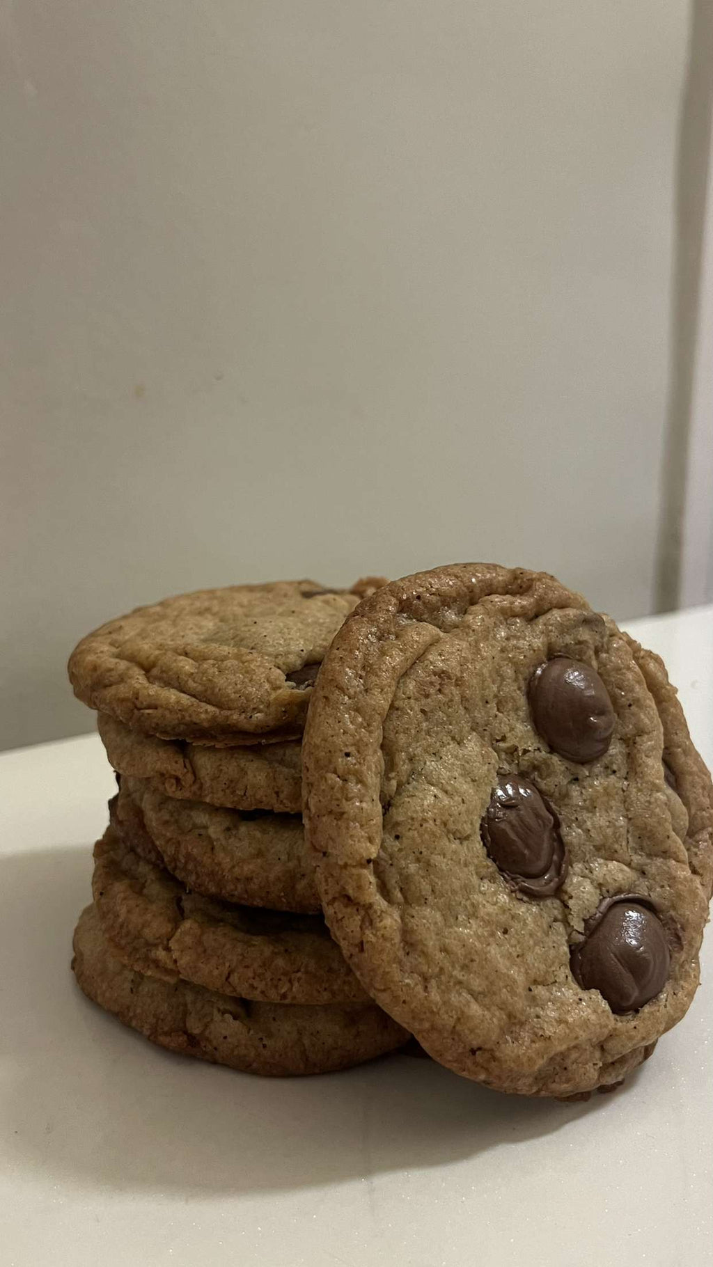Chocolate Chip Cookie